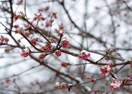 bildreich karten PK 880: winterwunder.