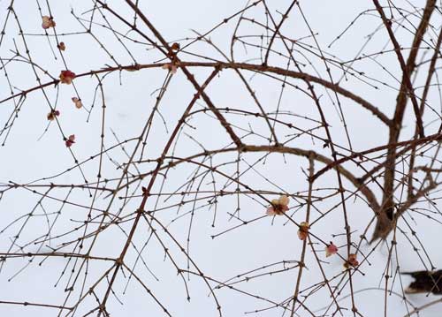 bildreich karten PK 881: farbtupfer.