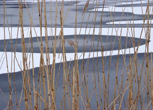 bildreich karten PK 882: winter am see.