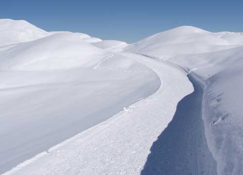 bildreich karten PK 890: weisse weite.