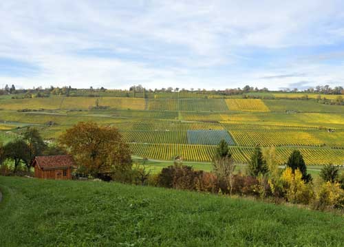 bildreich karten PK 946: noch zwei suedlichere tage.